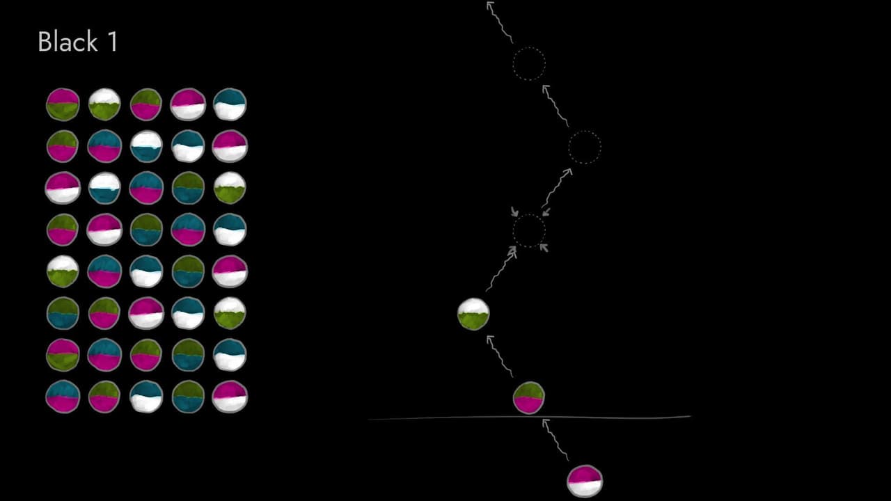 Chromonexus