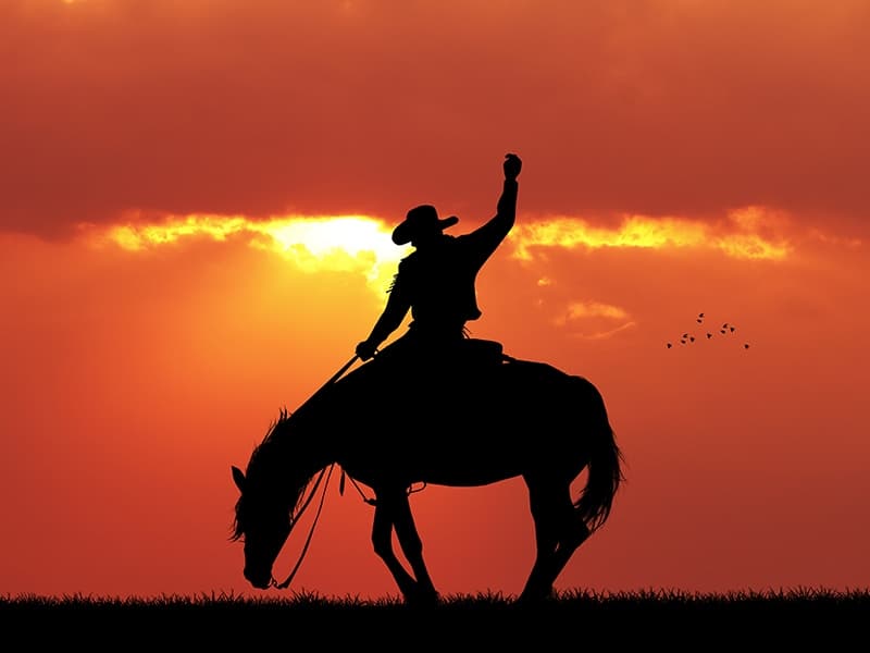 Cowboy In the Next World