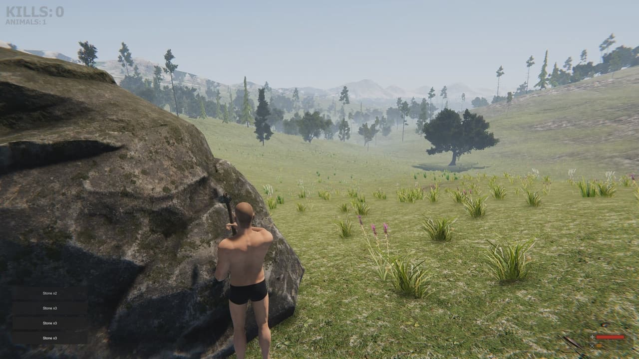 Valley of the foxes screenshot 2