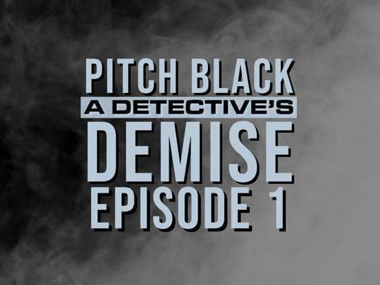 A Detectives Demise