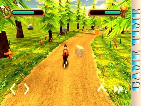 Horse Simulator 2015 screenshot 4