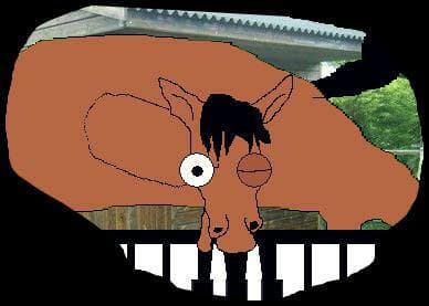 horse piano for burger_king