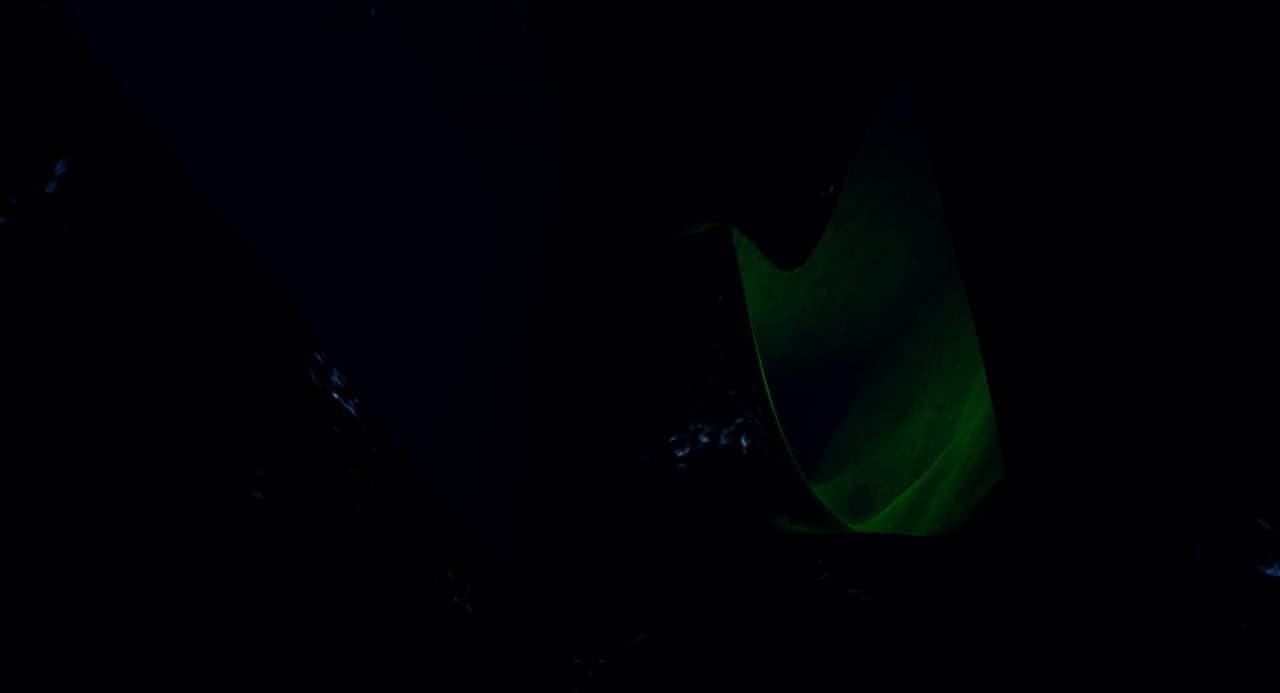 The Megaladon