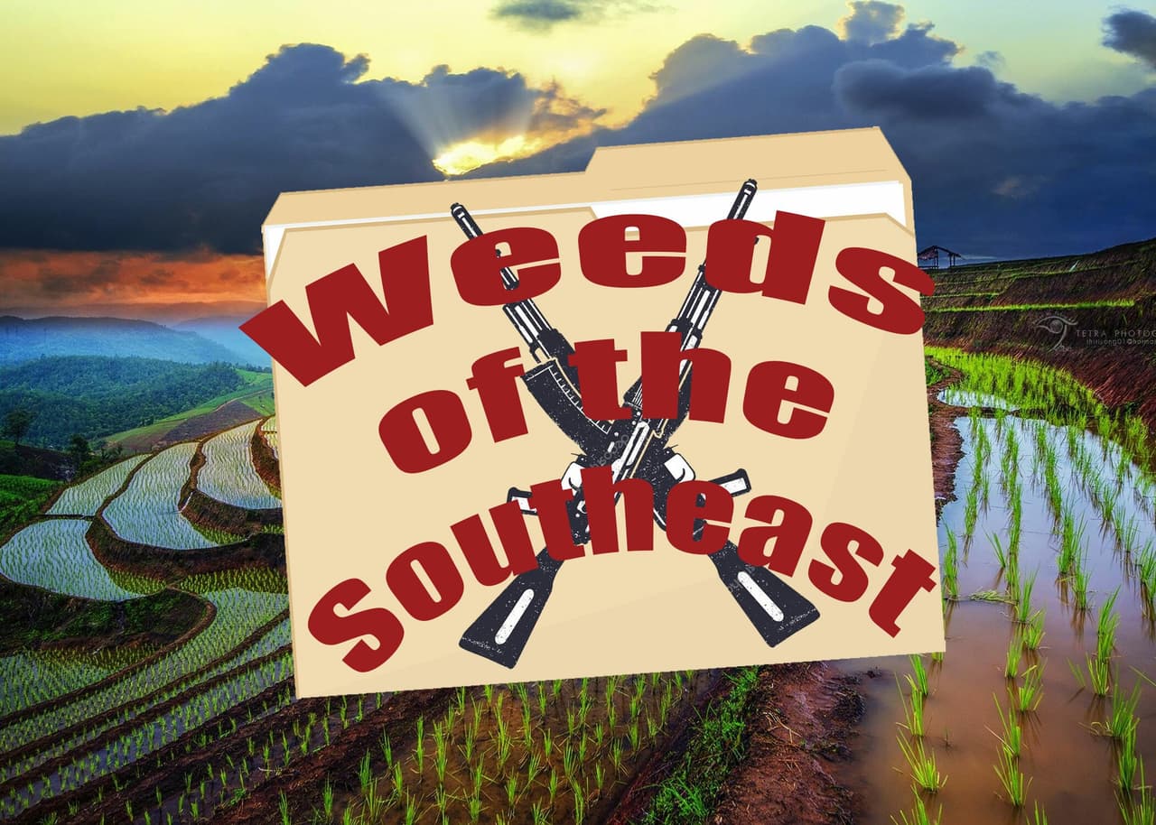 Weeds of the Southeast