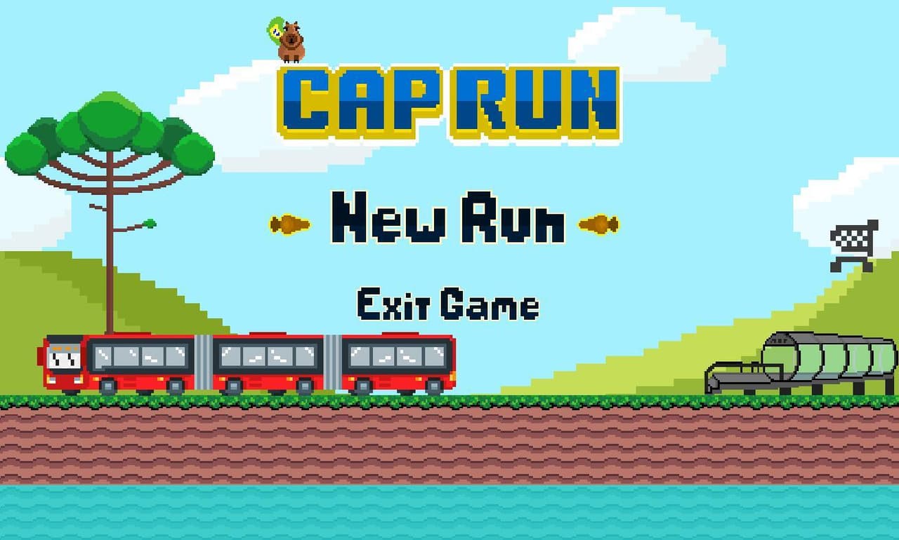 CapRun