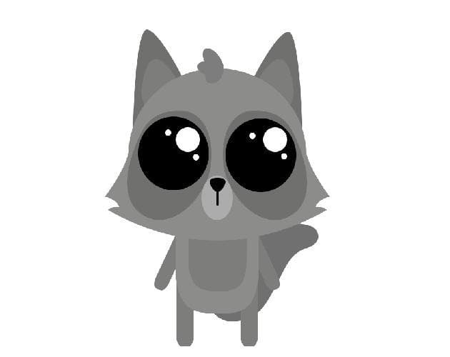 Raccoons Life