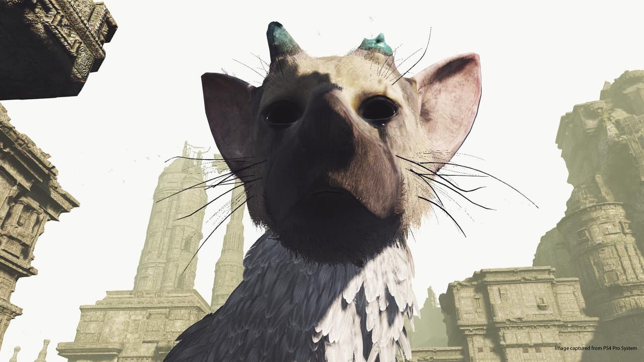 The Last Guardian VR Demo screenshot 2