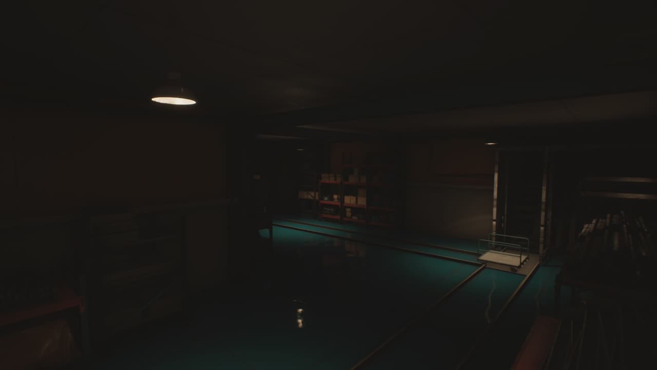 Light The Way