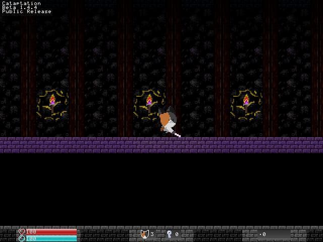 Cataptation screenshot 2