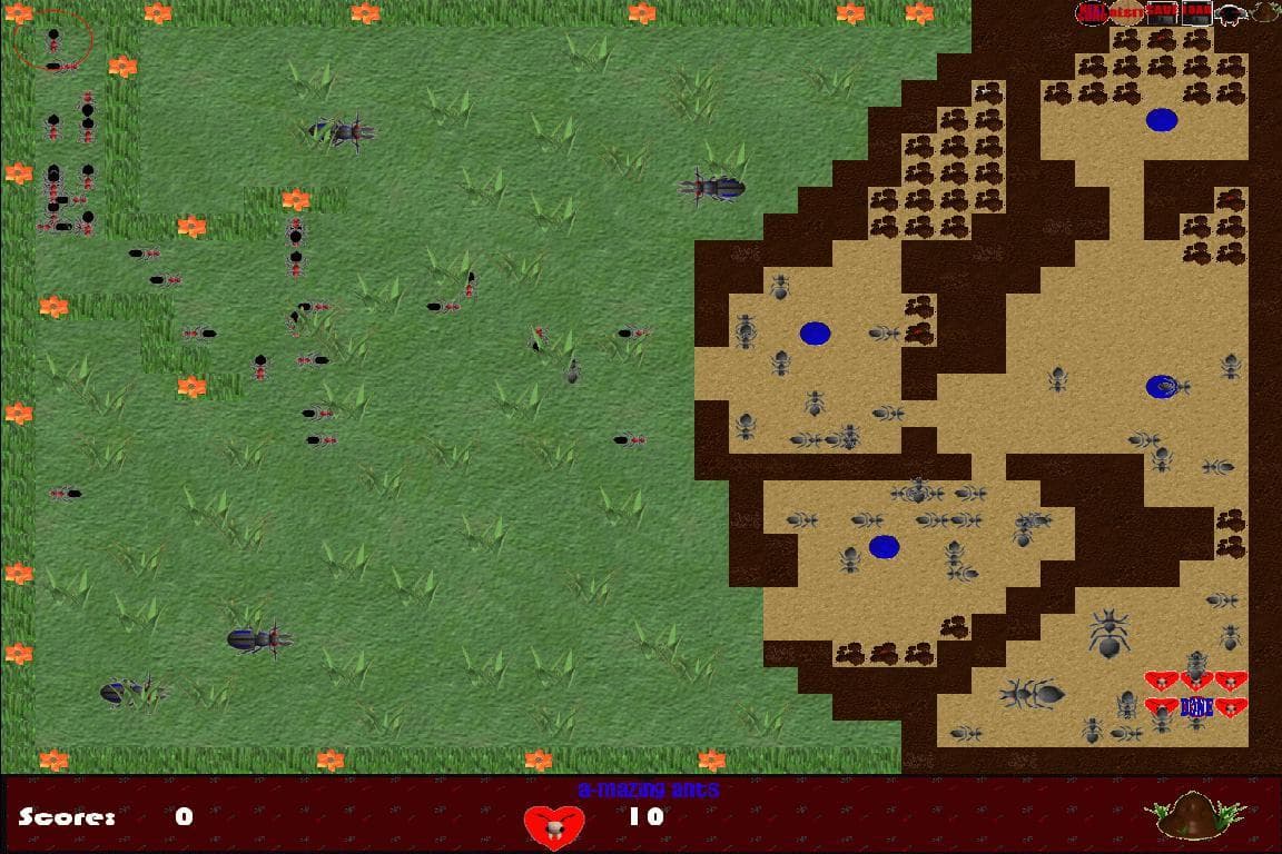 A-mazing Ants screenshot 5