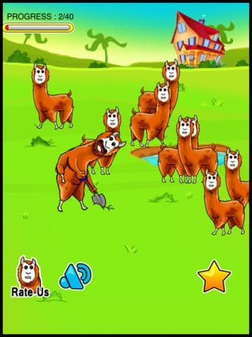 Alpaca Dash - an the branch jump evolution begins