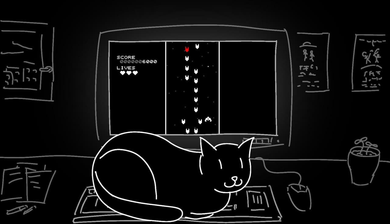 Cat, NO!