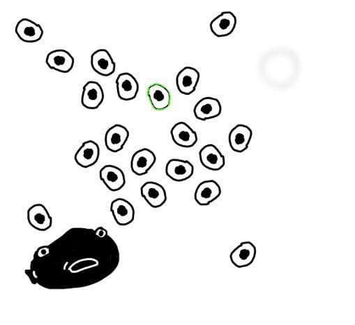 Tadpoles (Ratima Chandrema) screenshot 3
