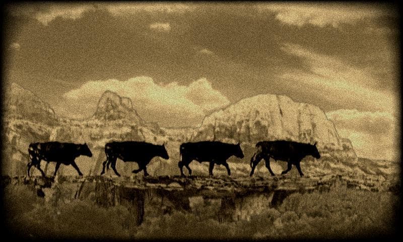 PARA-BULL-A screenshot 3