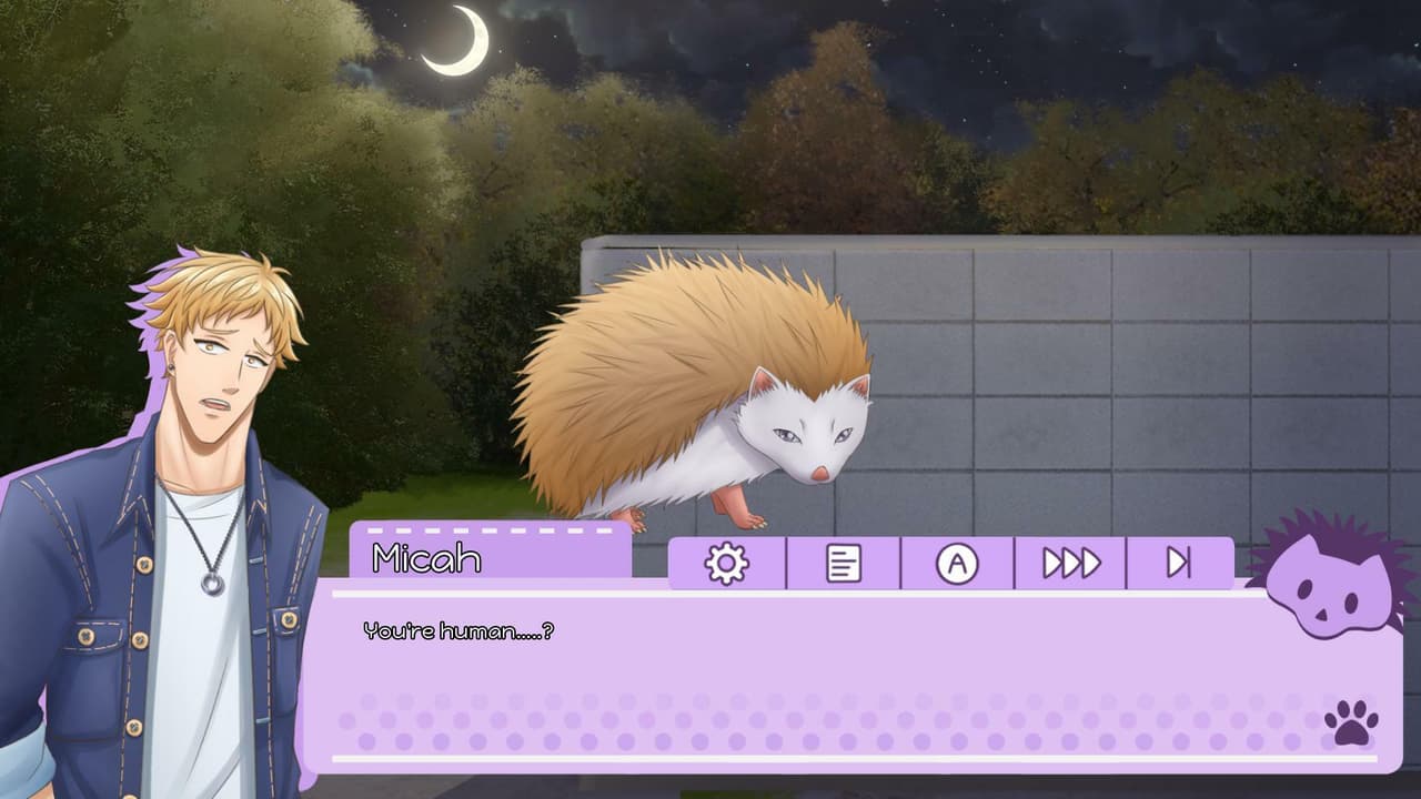 Hexed Pet: Hedgehog screenshot 2