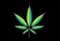 Drug Wars (itch)