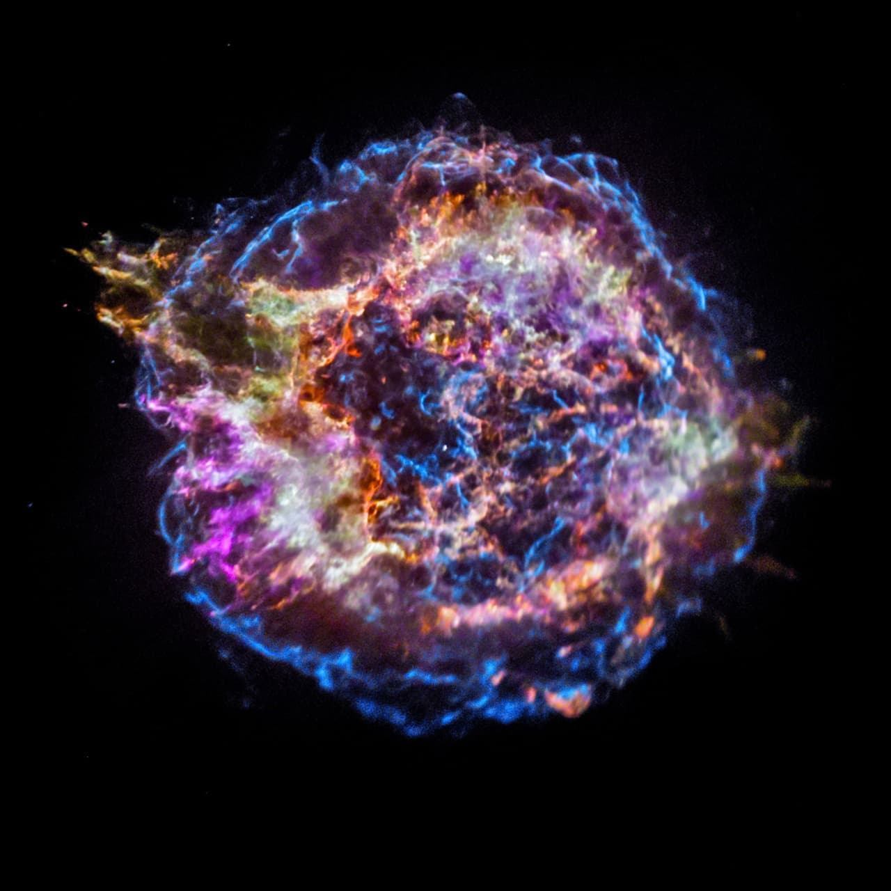 The Gallery of Stellar corpses