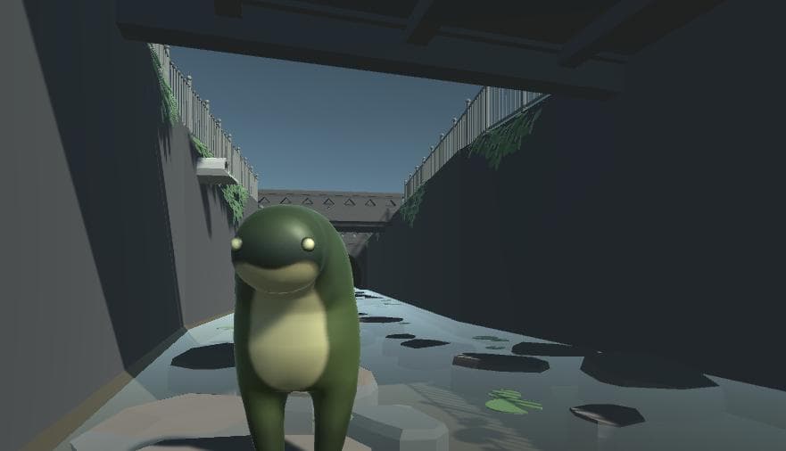 Midterm Frog