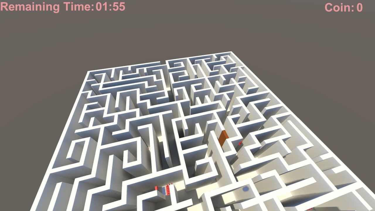 The Maze! (mikele34)