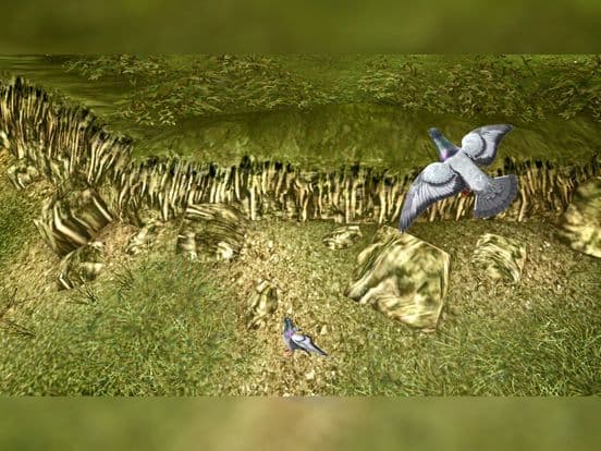 Classic Bird Hunter: Real Forest Shooting Simultor screenshot 4