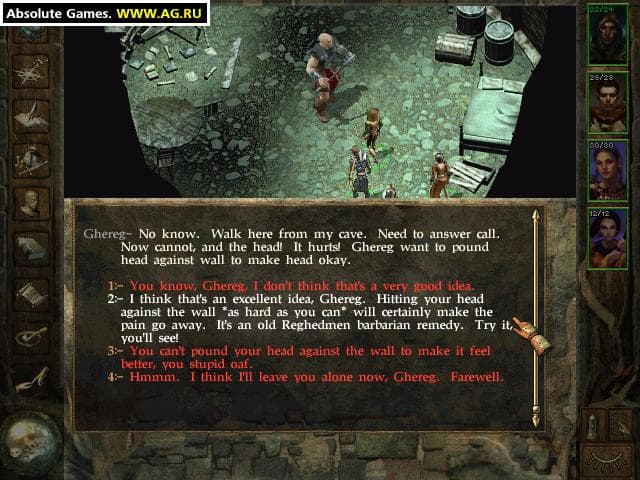Icewind Dale screenshot 6