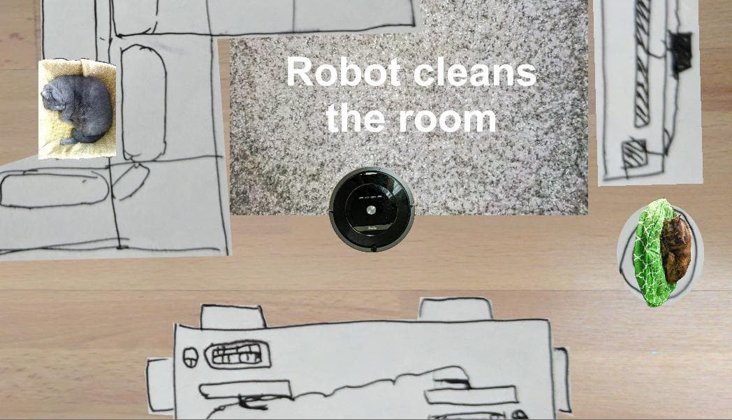 Robot cleans the room