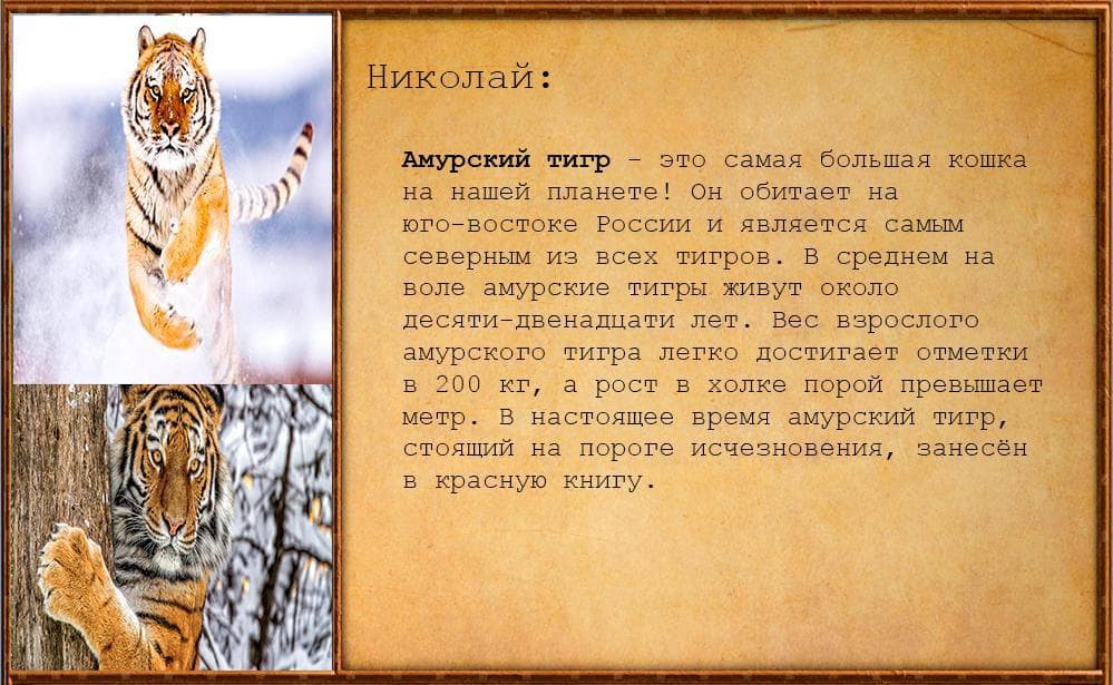 IТАТАРЫ screenshot 3