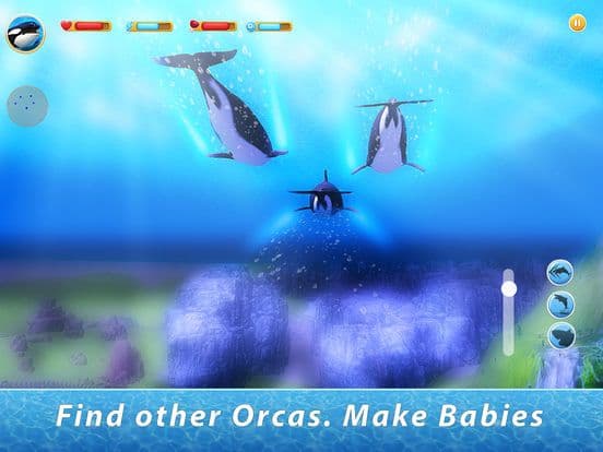 Orca Family Simulator screenshot 3