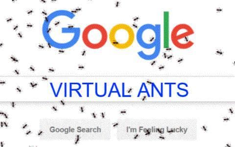 REAL ANT