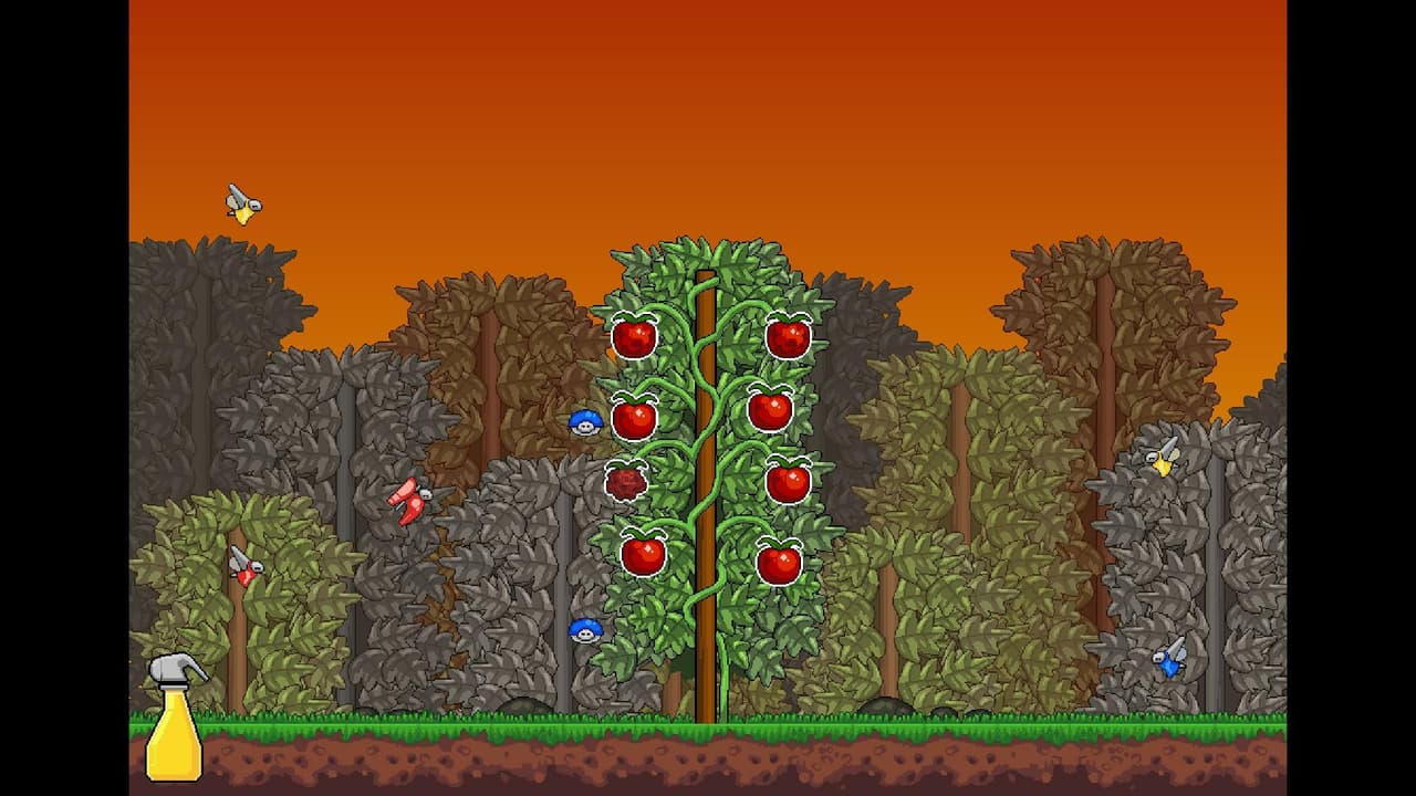 The Last Tomato