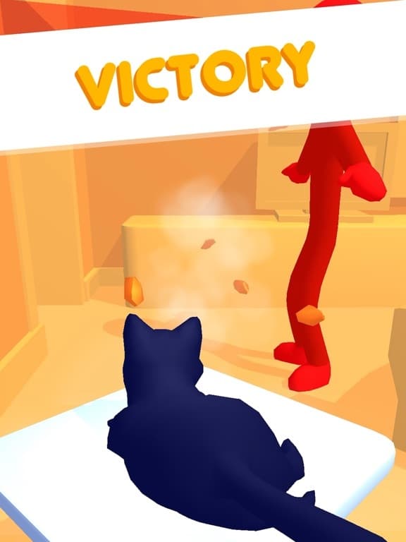 Pushy Cat