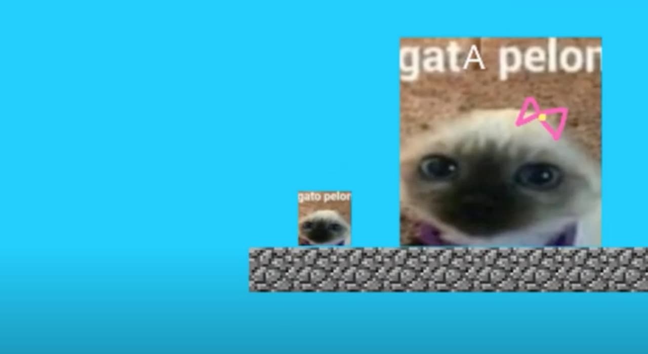 IL GIOCO UFFICIALE DI GATO PELON