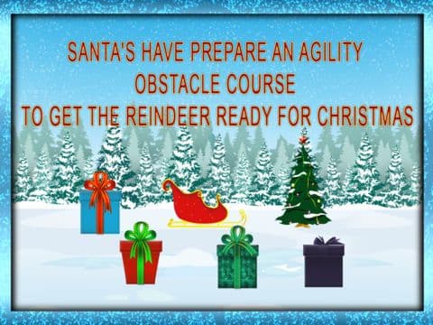 Reindeer Race and Jump agility obstacle course: Training for Christmas Day - Free screenshot 3