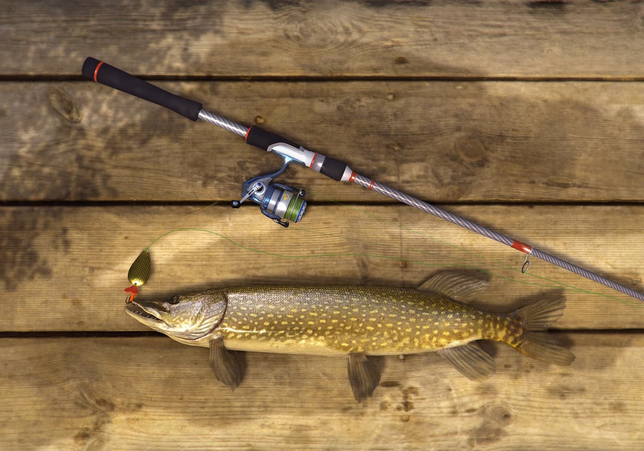 Fishing Planet screenshot 3