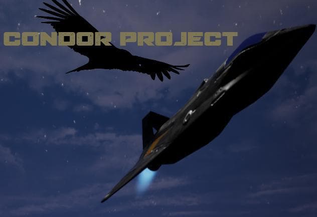 Condor Project