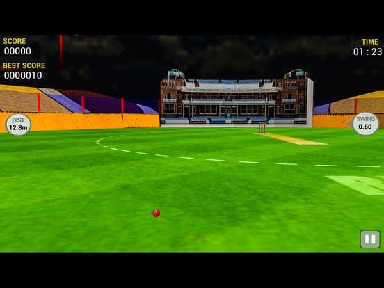 Cricket Run Out 3D screenshot 5