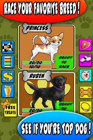 Dog Racer screenshot 4