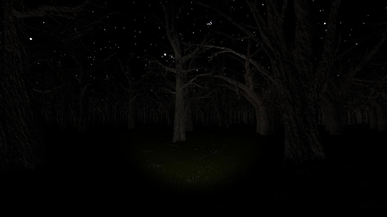 The Black Forest (UnknownDev1)