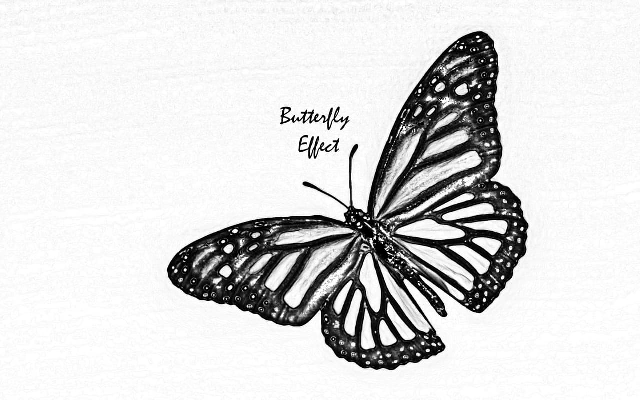 Butterfly Effect VN