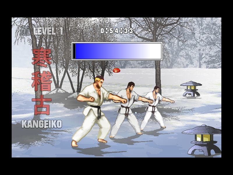 Karate Master - Knock Down Blow screenshot 4