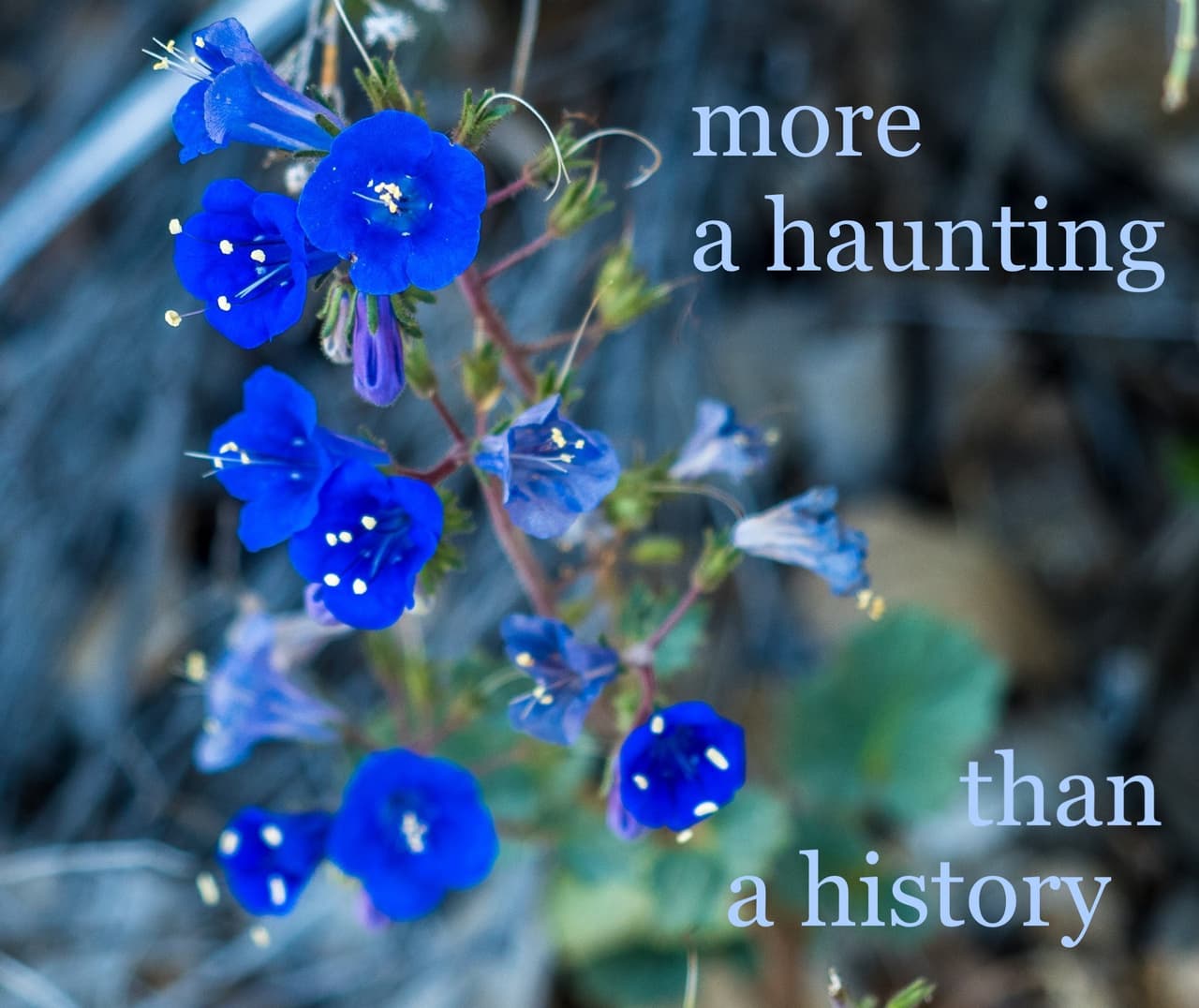 More a Haunting than a History