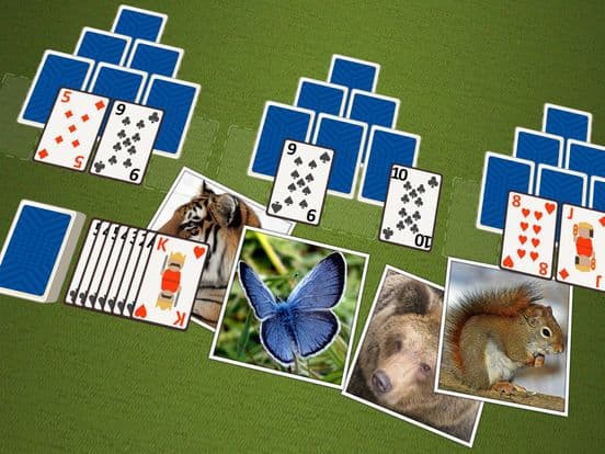 TriPeaks Wild Animals screenshot 3