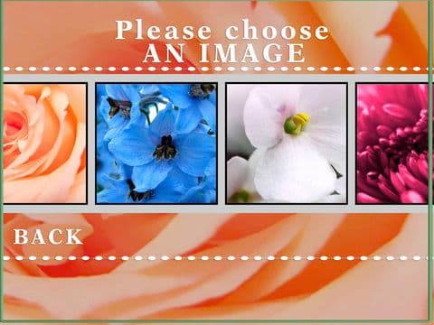 A Flower Puzzle Game screenshot 4