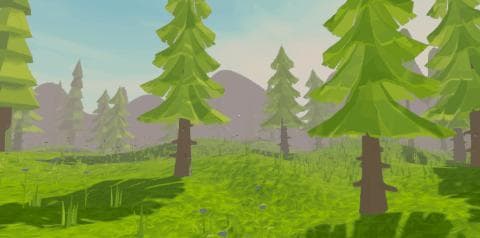 A little Walk in the Woods