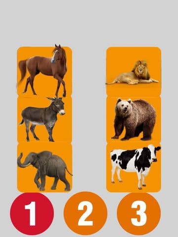 Animal Audio Pro screenshot 2