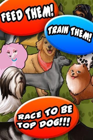 Dog Racer screenshot 2