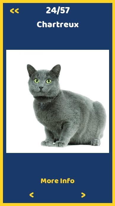 Cats Quiz (godotgames32d) screenshot 5