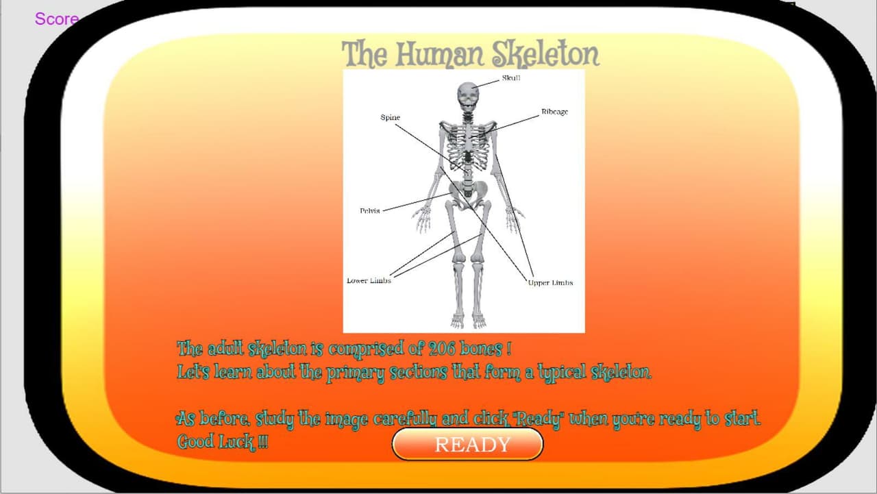 Anatomy Academy screenshot 5