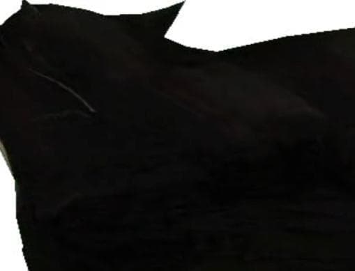 Maxwell The Carryable Cat screenshot 4