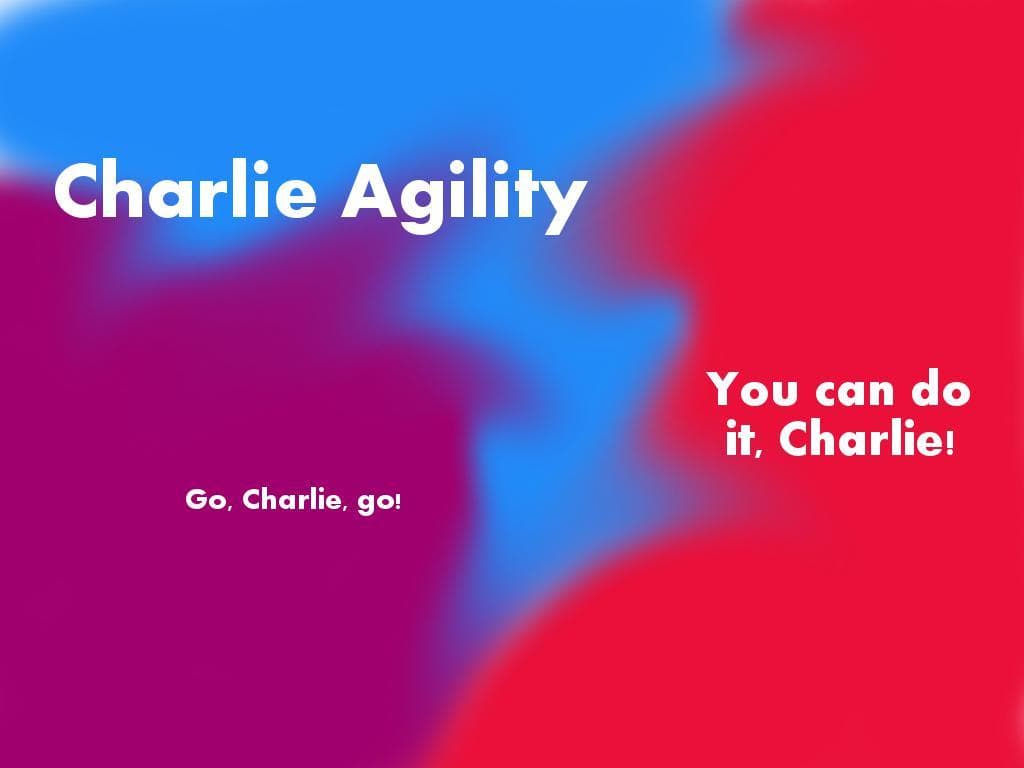 Charlie Agility